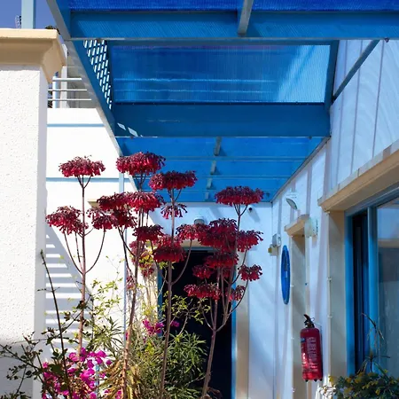 Blue Calm Hotel